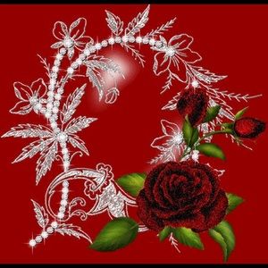 Meet your Posher, Nour